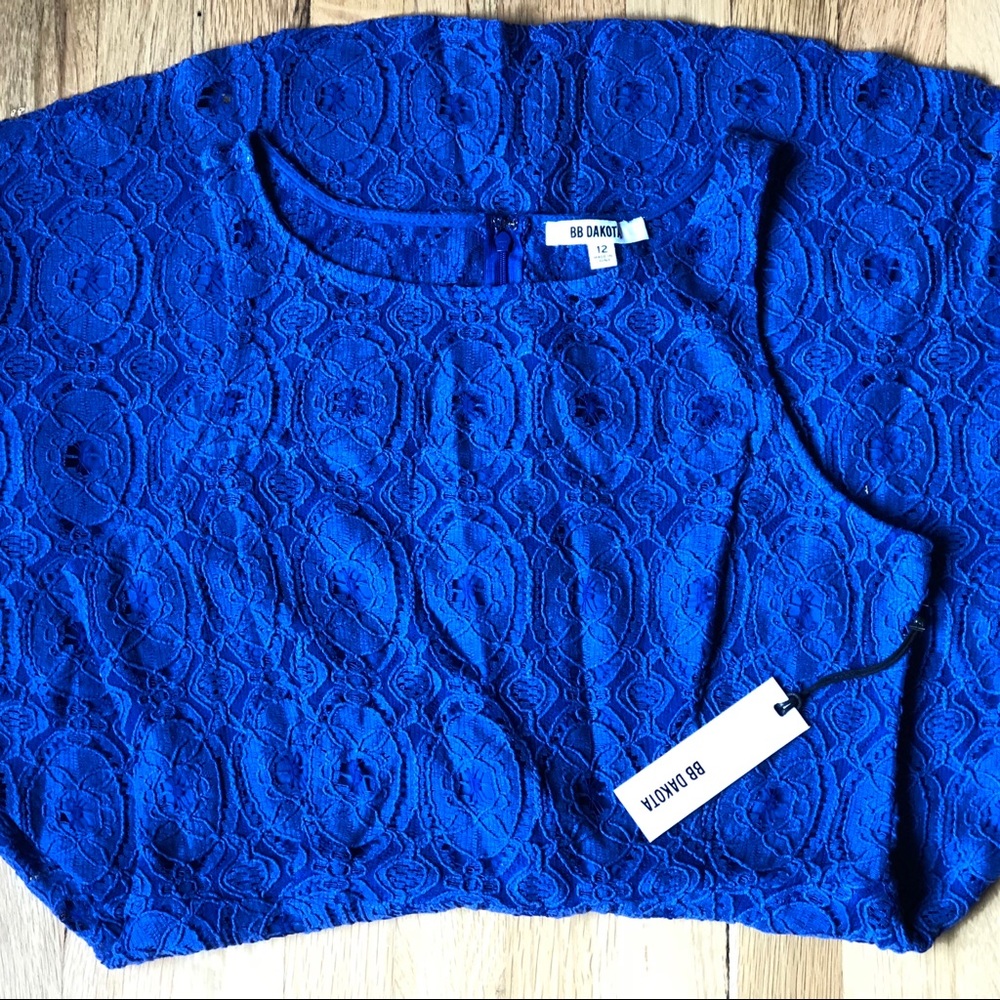 BB Dakota Fit & Flare Lace Dress